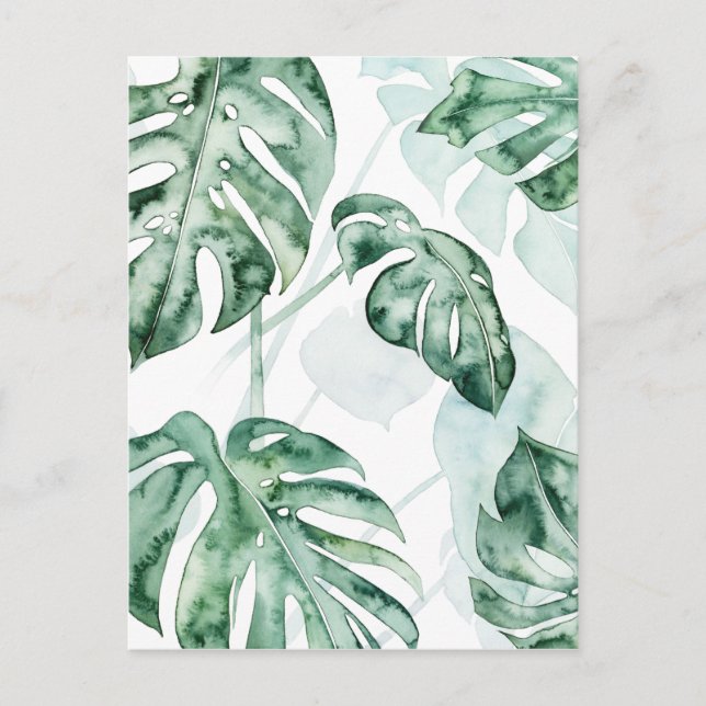 Tropical Palm Split Leaf Postcard (Front)