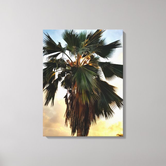Tropical Palm Sunset – Stretched Canvas Print (Front)