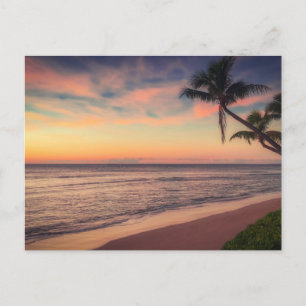 Tropical Palm Tree Beach at Sunset Post Card