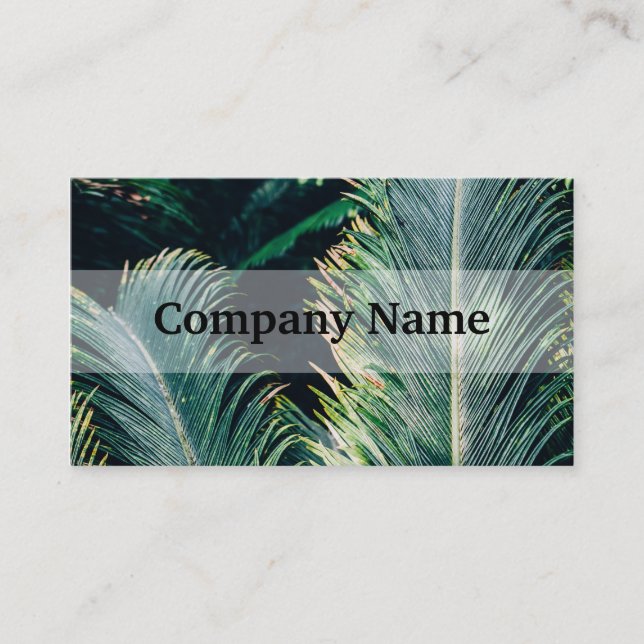 Tropical Palm Tree Leaves, Exotic Photograph Business Card (Front)