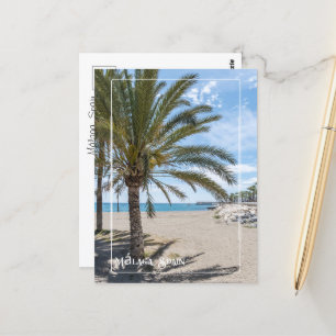 Tropical Palm Tree on Málaga Beach Postcard