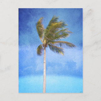 Tropical Palm Tree Postcard