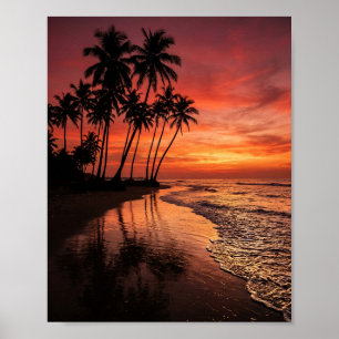 Tropical Palm Tree Silhouettes at Sunset Beach Art Poster