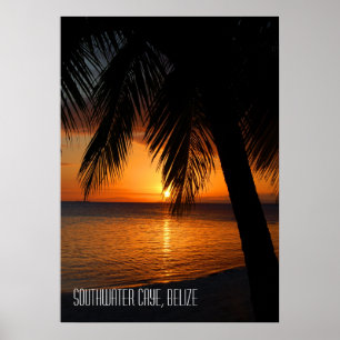 Tropical Palm Tree Sunset in Belise Poster