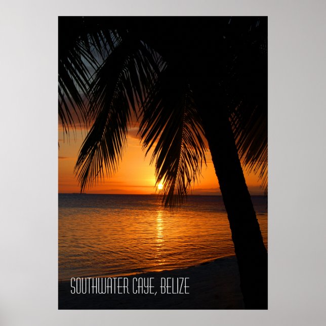 Tropical Palm Tree Sunset in Belise Poster (Front)