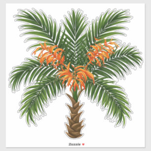 Tropical Palm Tree With Bright Orange Flowers