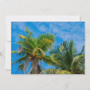 Tropical Palm Trees and Coconuts Invitation