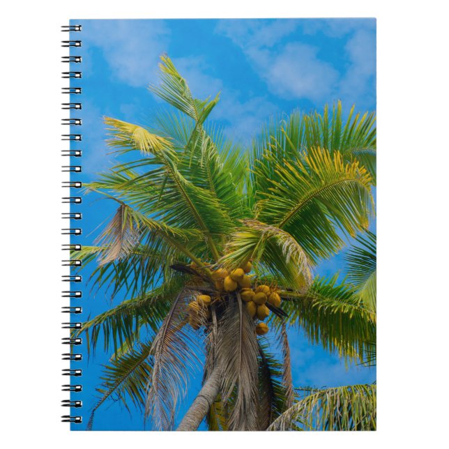 Tropical Palm Trees and Coconuts Notebook (Front)