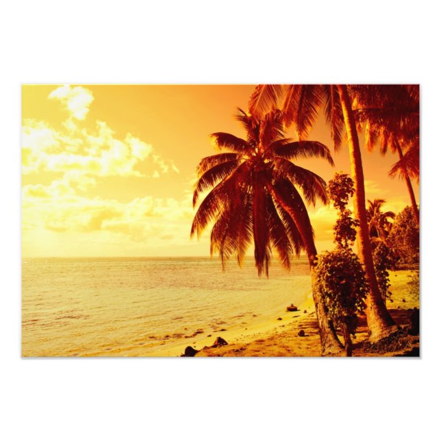 Tropical palm trees at a beach at sunset photo (Front)
