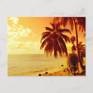 Tropical palm trees at a beach at sunset postcard