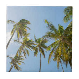 Tropical Palm Trees, Beach and vacation Style Tile