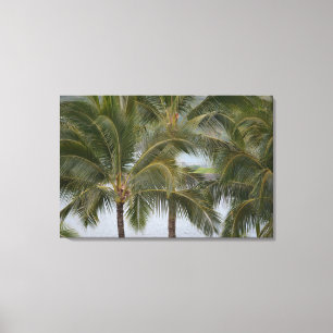 Tropical Palm Trees in Hawaii on the Ocean Canvas Print