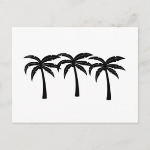 Tropical Palm Trees Postcard