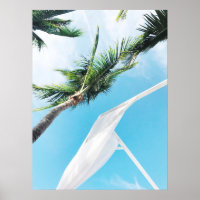 Tropical Palm Trees Under Blue Sky Photography