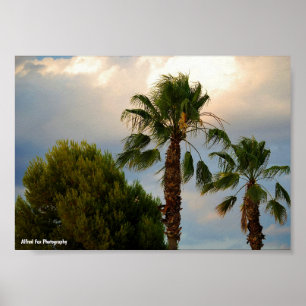 Tropical Palm Twilight Poster