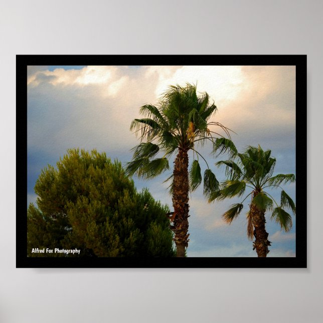 Tropical Palm Twilight Poster (Front)