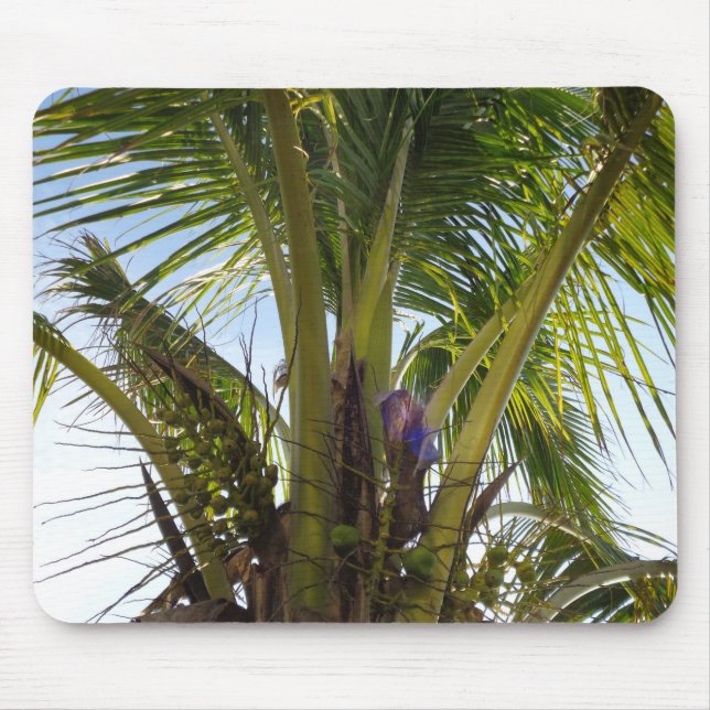 Tropical Palms Mouse Mat (Front)