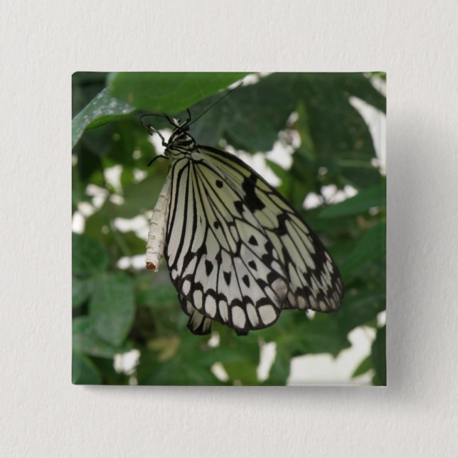 Tropical Paper Kite Butterfly Button (Front)