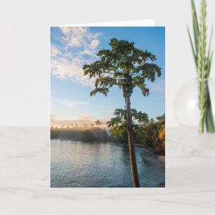 Tropical Paradise At Sunset, Fiji Card