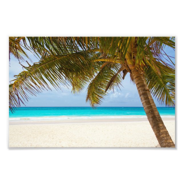 Tropical Paradise Beach Photo Print (Front)