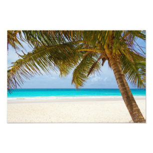 Tropical Paradise Beach Photo Print