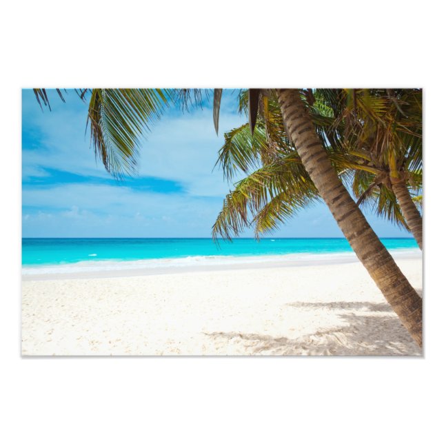 Tropical Paradise Beach Photo Print (Front)