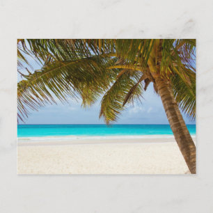 Tropical Paradise Beach Postcard