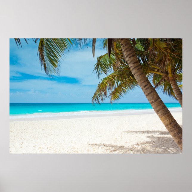 Tropical Paradise Beach Poster (Front)