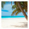 Tropical Paradise Beach