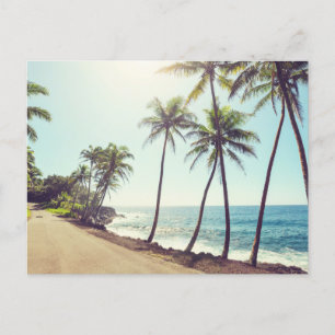 Tropical Paradise Exotic Island Palm Trees, Ocean Postcard