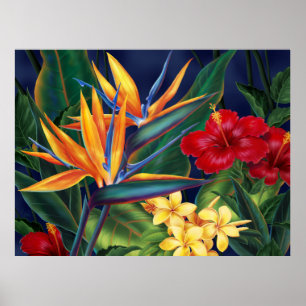 Tropical Paradise Fine Art Poster