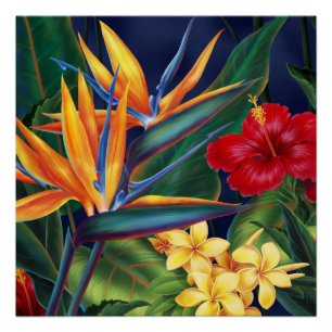 Tropical Paradise Hawaiian Floral Poster