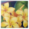 Tropical Paradise Hawaiian Plumeria Tiles & Trivet