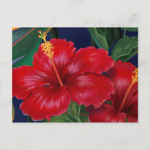 Tropical Paradise Hibiscus Postcard