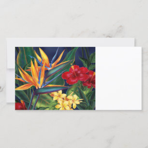 Tropical Paradise Invite & Photo cards