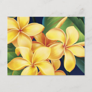 Tropical Paradise Plumeria Postcard