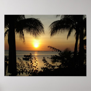 Tropical Paradise Poster