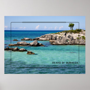 Tropical Paradise Poster