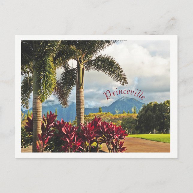 "Tropical Paradise"/Princeville, Kauai Postcard (Front)