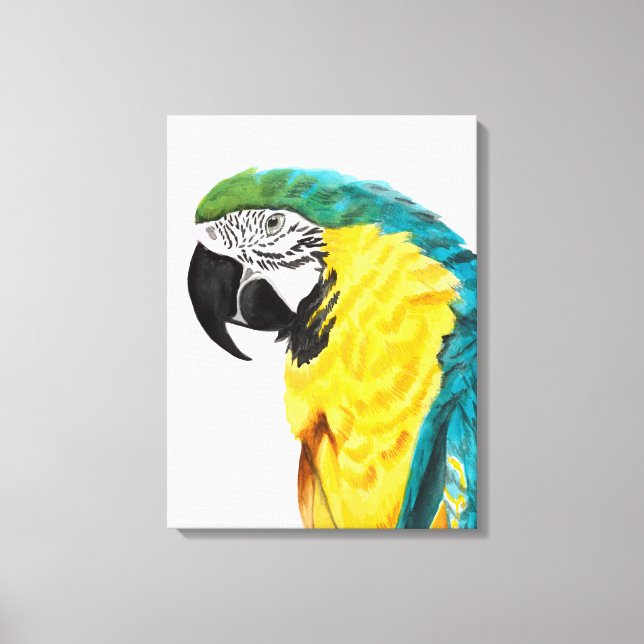 Tropical Parrot Bird Canvas Print (Front)