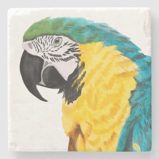 Tropical Parrot Bird Stone Coaster (Front)