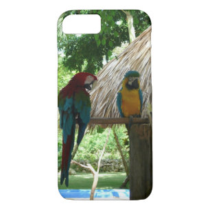 tropical parrot iPhone 8/7 case