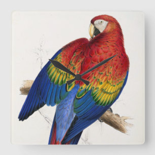Tropical Parrot Clock