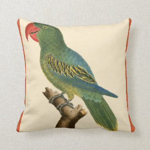 Tropical Parrot Cushion
