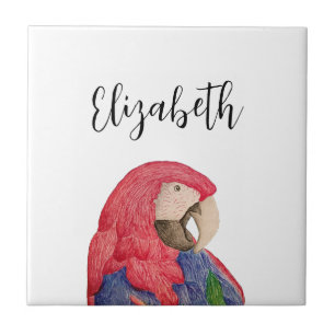 Tropical Parrot Drawing Colourful Macaw Tile