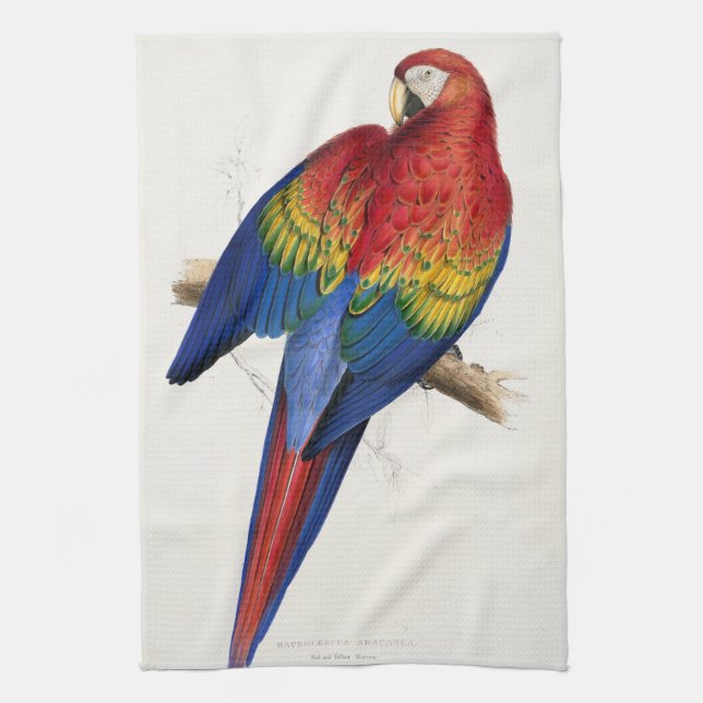 Tropical Parrot Kitchen Towel (Vertical)