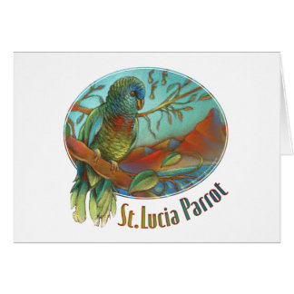 Tropical Parrot of St Lucia