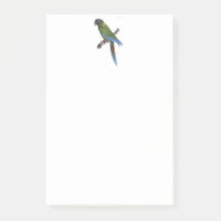 Tropical Parrot Painting for Bird or Beach Lovers
