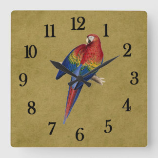 Tropical parrot square wall clock