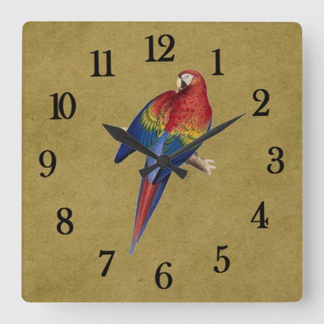 Tropical parrot square wall clock (Front)